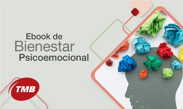 E-book de Bienestar  Psicoemocional